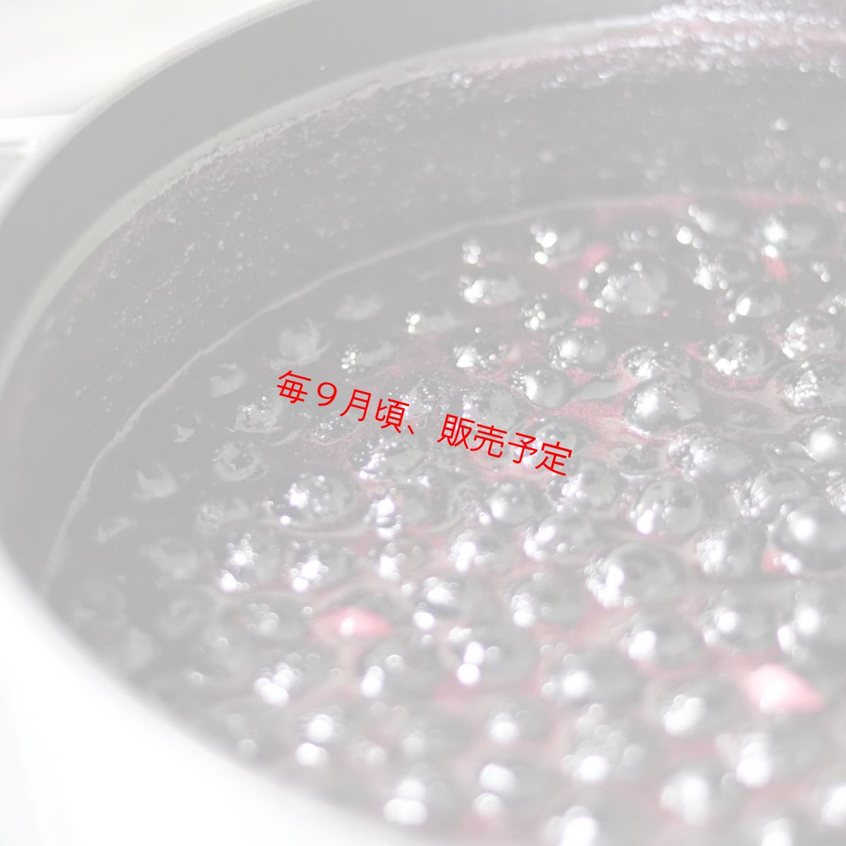 画像6: 【季節限定】 無農薬ブルーベリージャム 〜バルサミコ風味〜 (6)