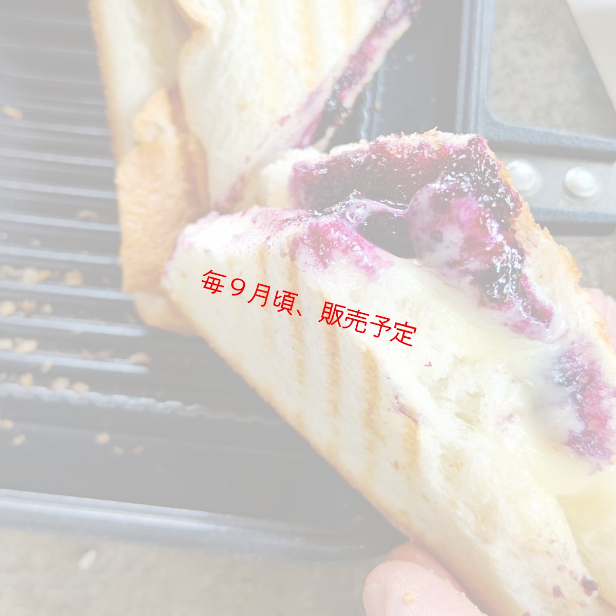 画像8: 【季節限定】 無農薬ブルーベリージャム 〜バルサミコ風味〜 (8)