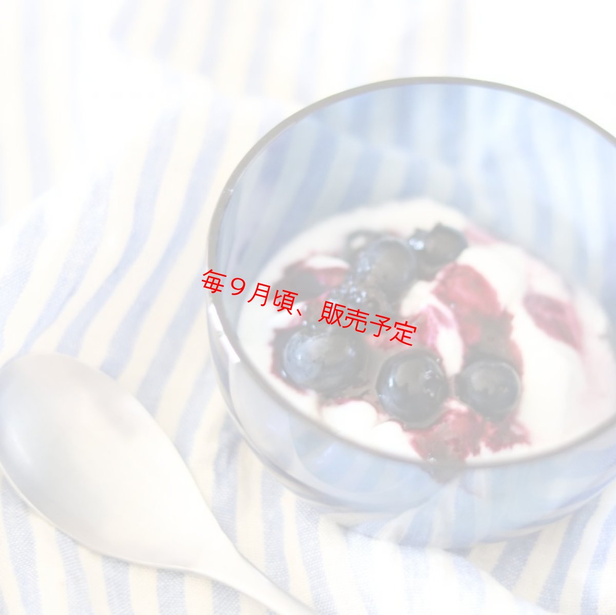 画像9: 【季節限定】 無農薬ブルーベリージャム 〜バルサミコ風味〜 (9)