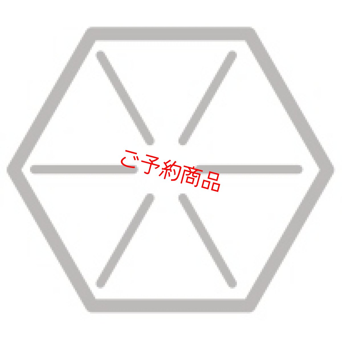画像1: ご予約商品 (1)