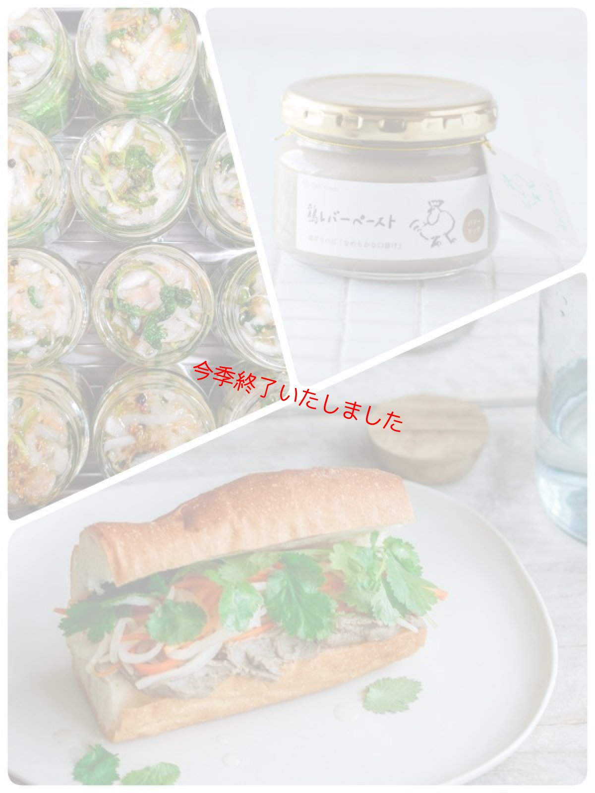 画像3: 【季節のこびんシリーズ】 〜無限につまんじゃう〜 無添加パクチーなます140g (3)